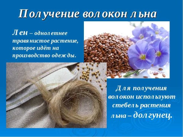 Волокна льна получают из