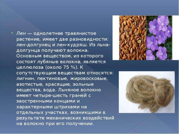 Лен-Кудряш волокно