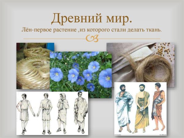 Лён растение для ткани