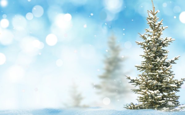 Красивый зимний фон