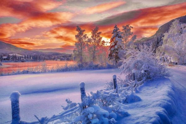 Красивые зимние фото