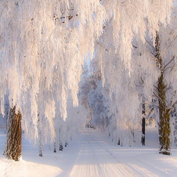 29 Декабря – Аггей – иней сей.