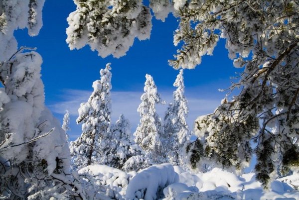 Красота природы зимой