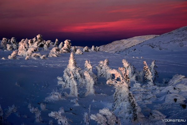 Красота природы зимой