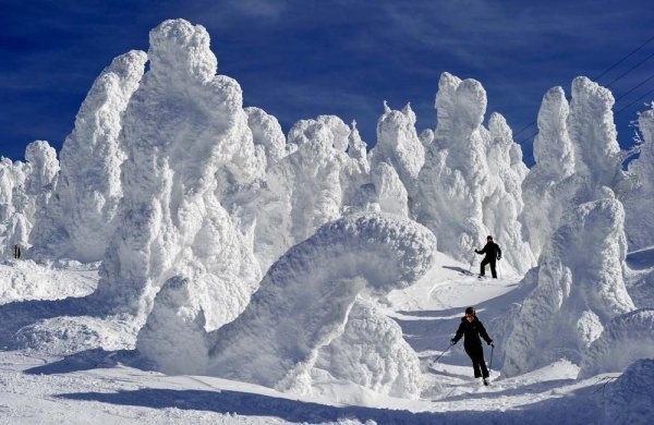 Удивительные красоты зимы