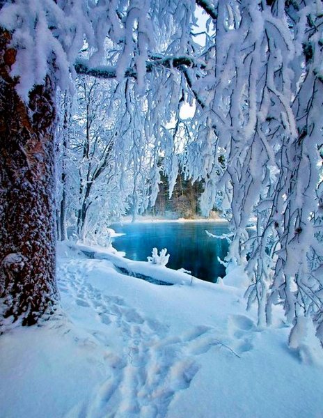 Зимняя природа