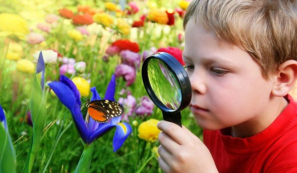 Ребенок познает мир природы