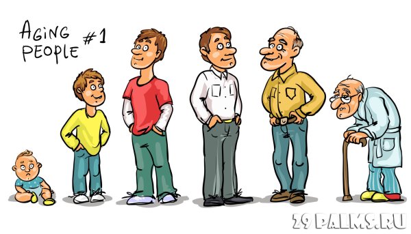 Человек взрослеет