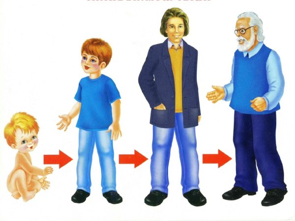 Человек для дошкольников