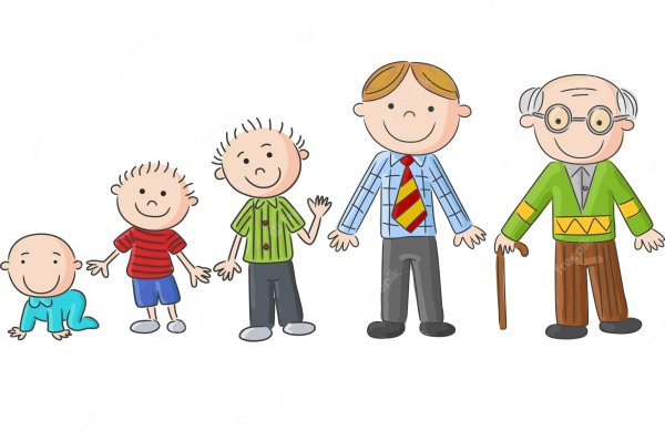 Детство молодость зрелость старость