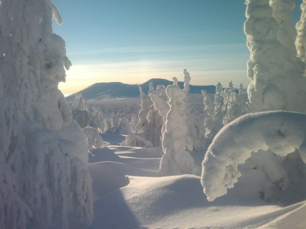 Снежное одеяло зимы