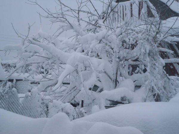 Снежное полотно