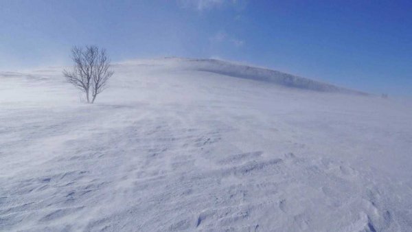 Снежное поле