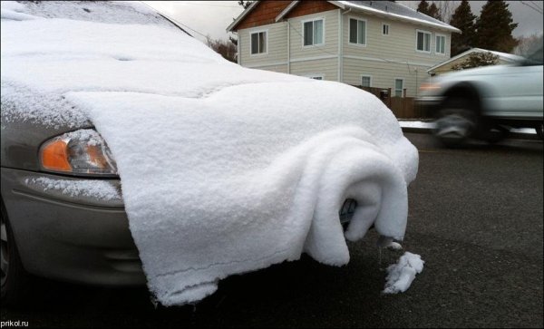 Зимнее одеяло для автомобиля