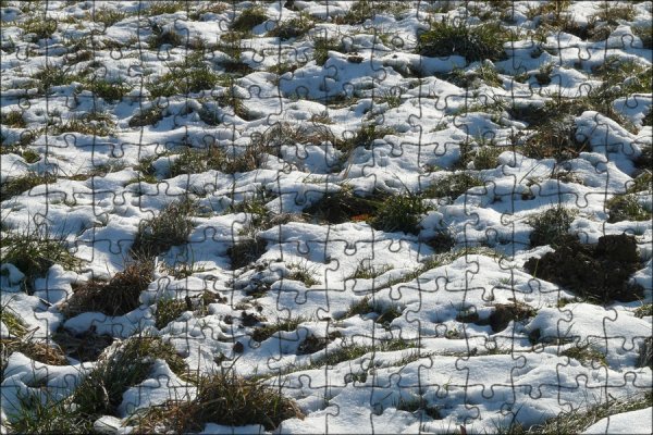 Снежный Покров снег