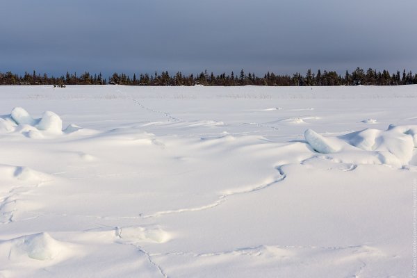 Поле покрытое снегом