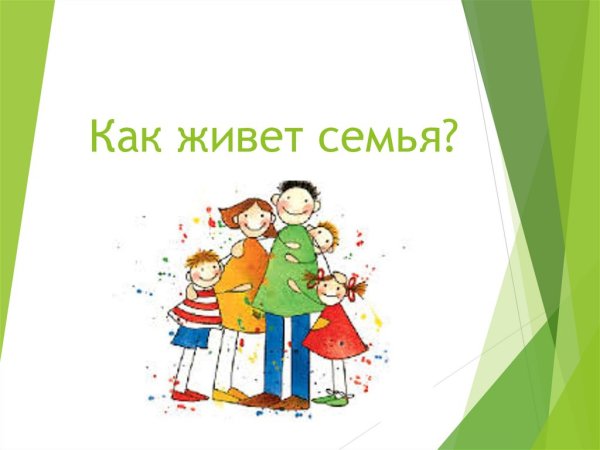 Проект как живет семья