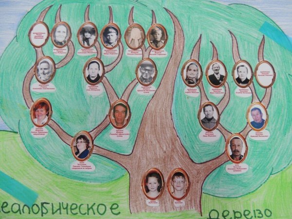 Рисование родословного дерева
