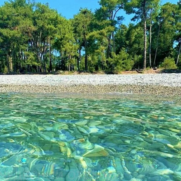 Пляж Пицунда Абхазия