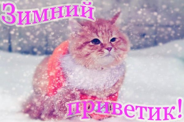 Зимний приветик