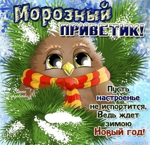 Зимний приветик