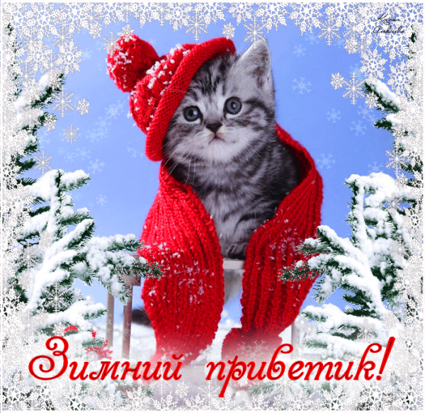 Красивые зимние приветы
