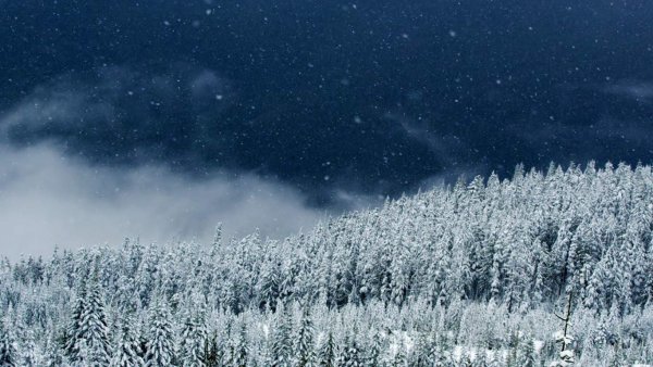 Снежная буря