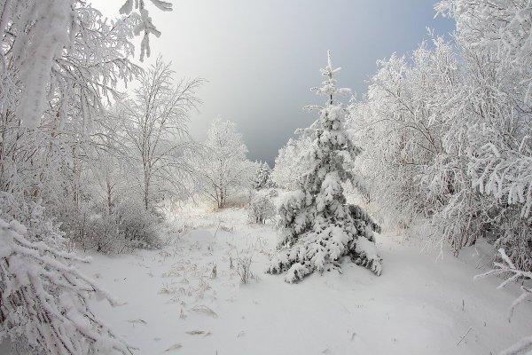 Зима метель