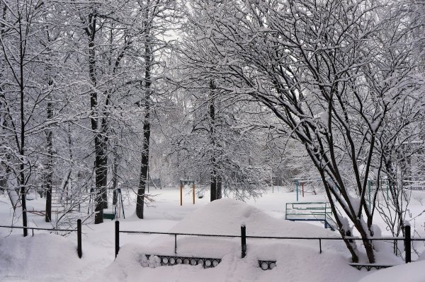 Панорама двора зимой