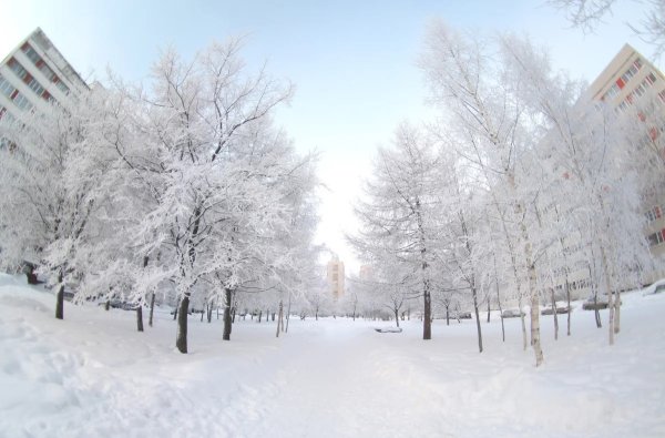 Панорама двора зимой