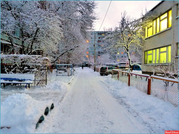 Заснеженный двор