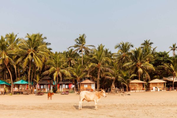 Агонда Индия