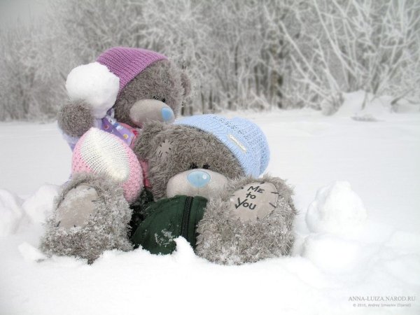 Мишка Тедди на снегу