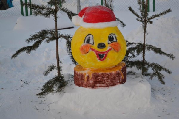Житель алтайского села создает красочные снежные фигуры. Фото