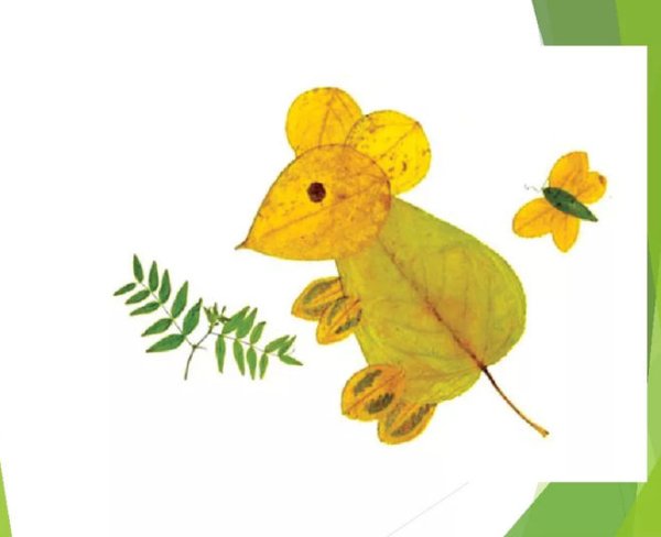 Животные из гербария