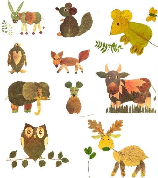 Поделки из гербария