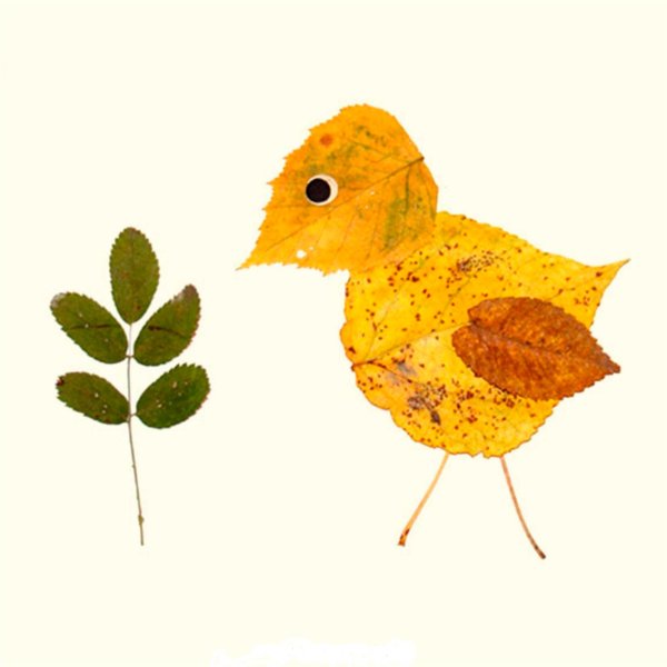 Композиция из листьев для 1 класса