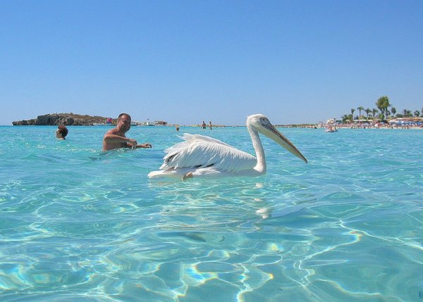 Кипр Айя Напа