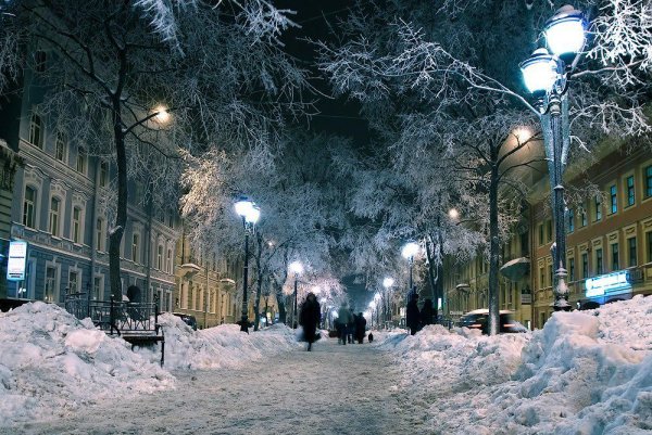 Фурштатская улица Санкт-Петербург аллея зимой