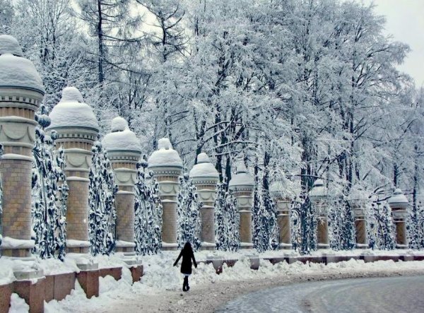 Михайловский парк зимой