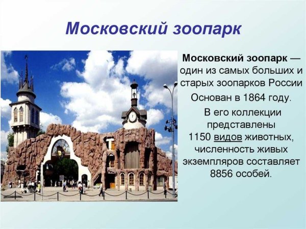 Московский зоопарк доклад