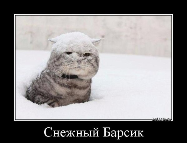 Пояти Весна мешает метр снега
