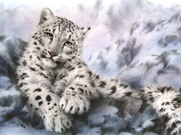 Коты Воители снежный Барс
