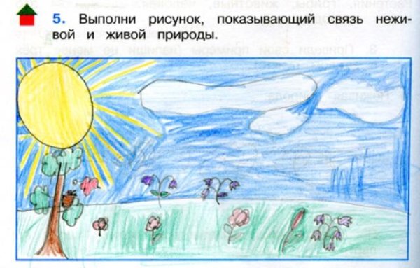 Связь живой и неживой природы рисунок