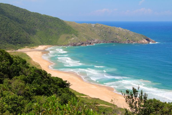 Девино Бразилия