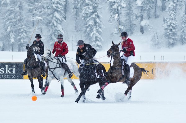 Снежное поло лошади