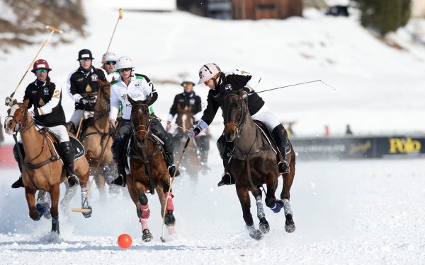 Снежное поло