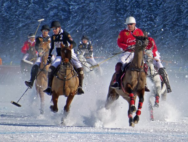 Хоккей на лошадях