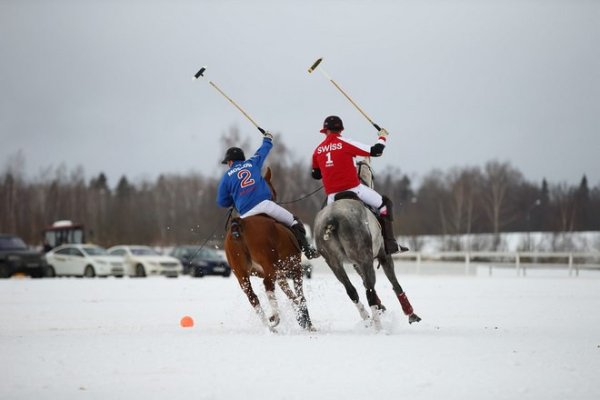 Зимнее Конное поло