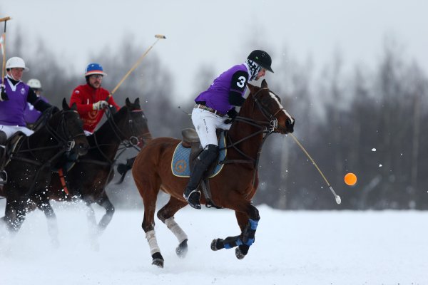 Конное поло на снегу